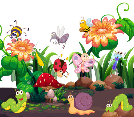 Different insects living in the garden illustrationのイラスト素材