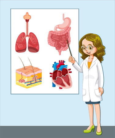 Doctor presenting different anatomy illustrationのイラスト素材