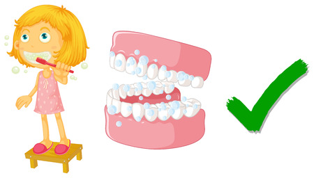 The correct way of brushing teeth illustrationのイラスト素材
