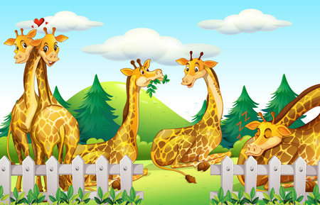 Giraffes in the safari illustrationのイラスト素材