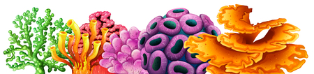 Coral reef on white background illustration