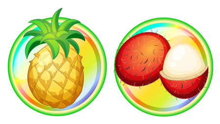 Pineapple and rambutan on round badges illustrationのイラスト素材