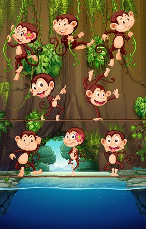 Monkeys climbing on vine illustrationのイラスト素材