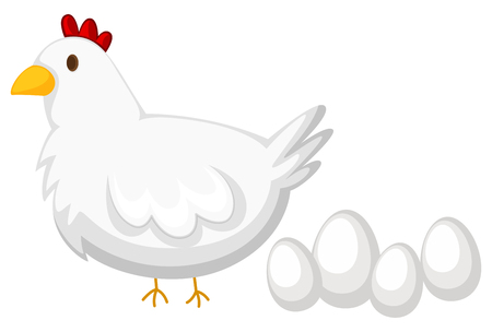 Chicken with white feather and four eggs illustrationのイラスト素材