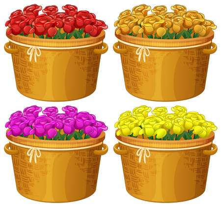 Four baskets of roses in different colors illustrationのイラスト素材