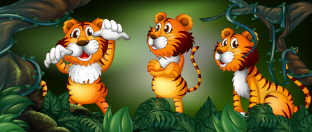 Three tigers in the rainforest illustrationのイラスト素材