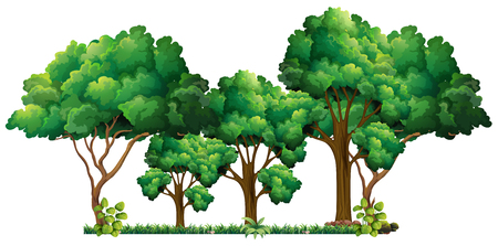 Scene with many trees illustrationのイラスト素材