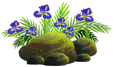 Irish flowers in the bush illustrationのイラスト素材