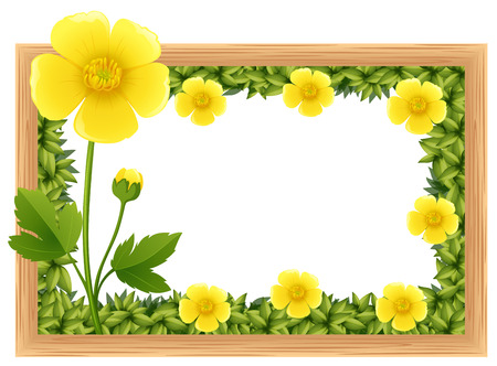 Yellow buttercup flowers as frame design illustrationのイラスト素材