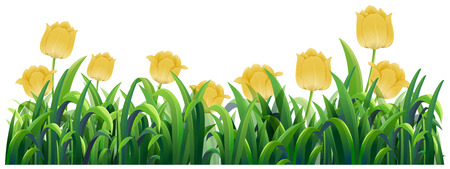 Yellow tulips in the bush illustrationのイラスト素材