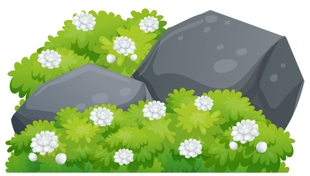 Jasmine flowers on green bush illustrationのイラスト素材