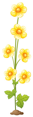 Yellow flowers on white background illustrationのイラスト素材