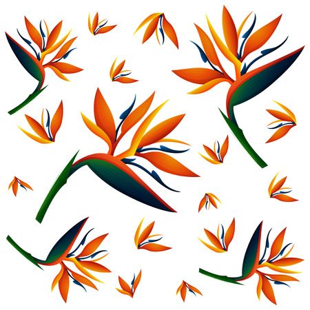 Seamless background with bird of paradise flowers illustrationのイラスト素材