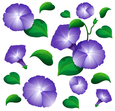 Seamless background design with morning glory flowers illustrationのイラスト素材