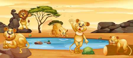Lions drinking water from the pond illustrationのイラスト素材
