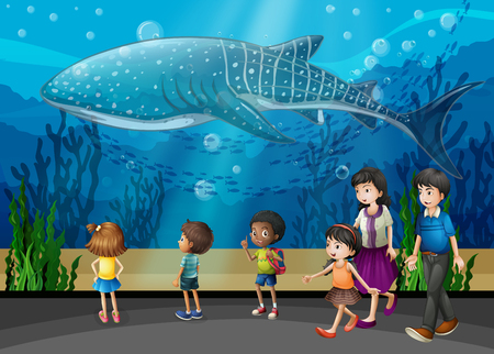 Killer whale in the aquarium illustrationのイラスト素材