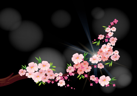 Cherry blossom flowers on branch illustrationのイラスト素材