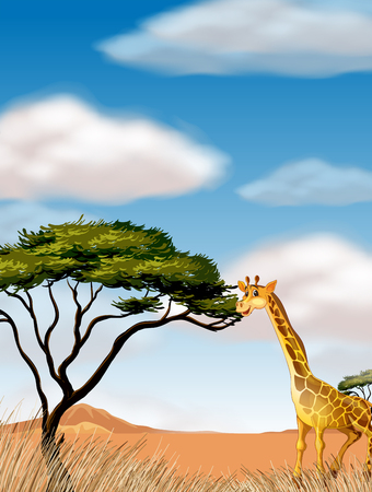 Giraffe running in the field illustrationのイラスト素材