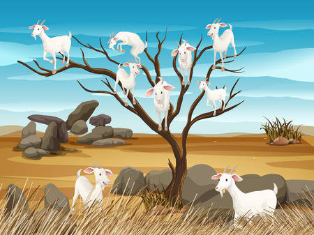 Many goats on the tree illustrationのイラスト素材