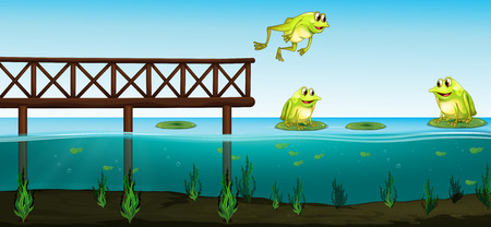 Three frogs in the pond illustrationのイラスト素材