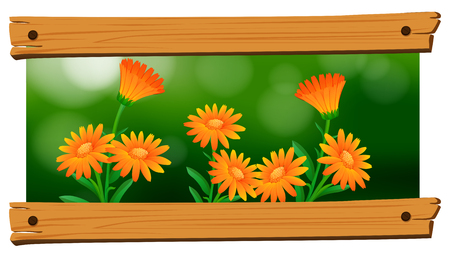 Background design with orange flowers illustrationのイラスト素材