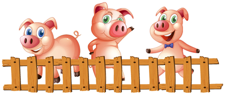 Three pigs behind the fence illustrationのイラスト素材