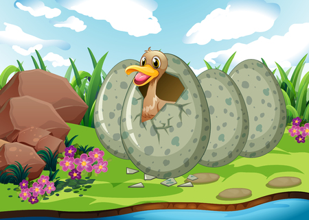 River scene with duck hatching egg illustrationのイラスト素材