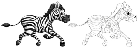 Doodle animal for zebra illustrationのイラスト素材