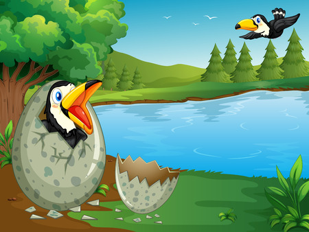 Forest scene with toucan hatching egg  illustrationのイラスト素材