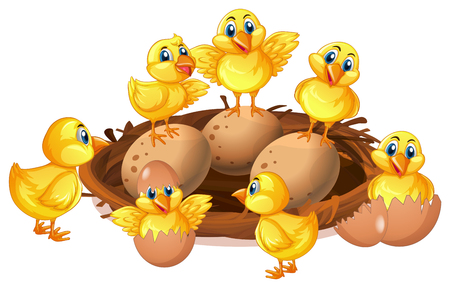 Many chicks and eggs in nest illustrationのイラスト素材