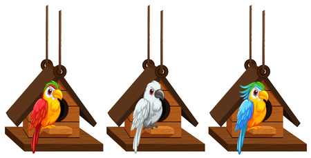 A Macaw parrots living in birdhouse illustrationのイラスト素材