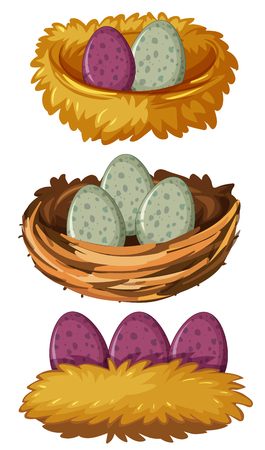 Different types of nests and eggs illustrationのイラスト素材