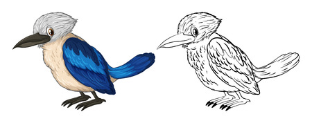 Doodle animal for little bird illustrationのイラスト素材