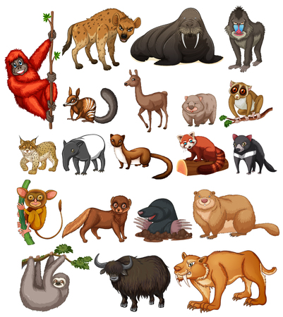 Wild animals on white background illustrationのイラスト素材