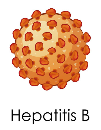 Diagram showing hepatitis B virus illustrationのイラスト素材