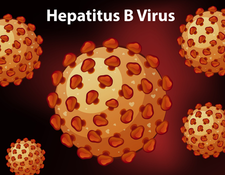 Close up diagram for hepatitus B virus illustrationのイラスト素材