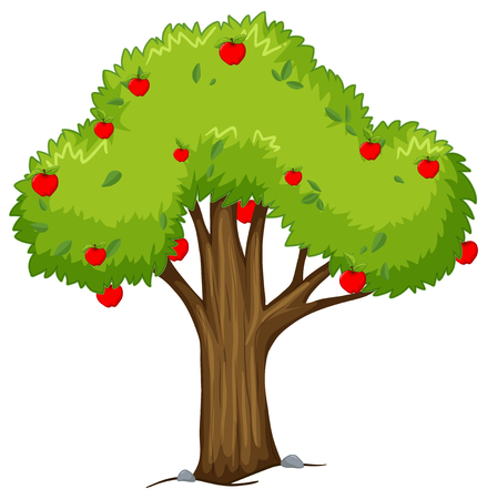 Apple tree with red apples illustrationのイラスト素材