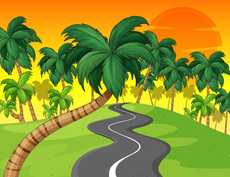 Palm forest and empty road illustrationのイラスト素材