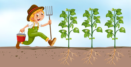 Farmer planting in the field illustrationのイラスト素材