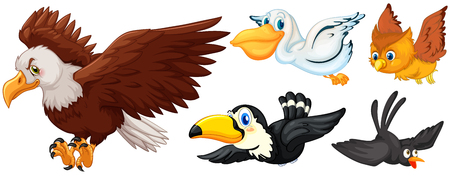 Different types of birds flying illustrationのイラスト素材