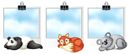 Three frames with wild animals illustration.のイラスト素材