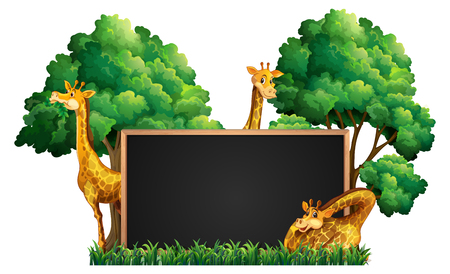 Blackboard with wild giraffes in park illustrationのイラスト素材
