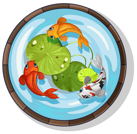 Three kois swimming in small pool illustrationのイラスト素材