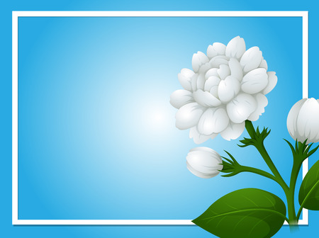 Border template with white jasmine flowers illustrationのイラスト素材