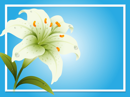Border template with white lily illustrationのイラスト素材