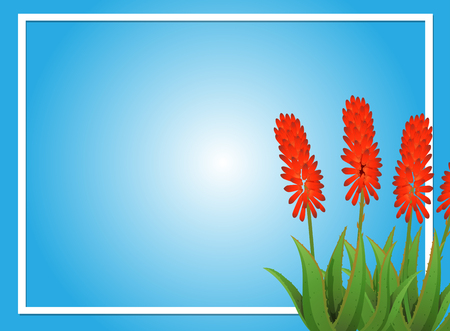 Border template with aloevera flowers illustrationのイラスト素材