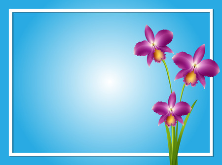Border template with purple orchid illustrationのイラスト素材