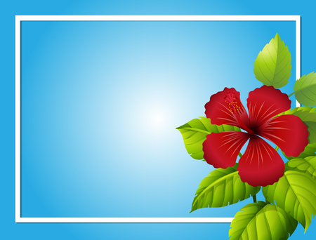Blue background template with hibiscus flower illustrationのイラスト素材