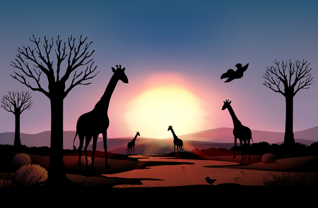 A Background scene with silhouette giraffe in the field illustrationのイラスト素材