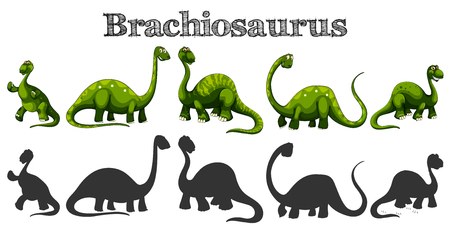 Brachiosaurus in five different actions illustration.のイラスト素材